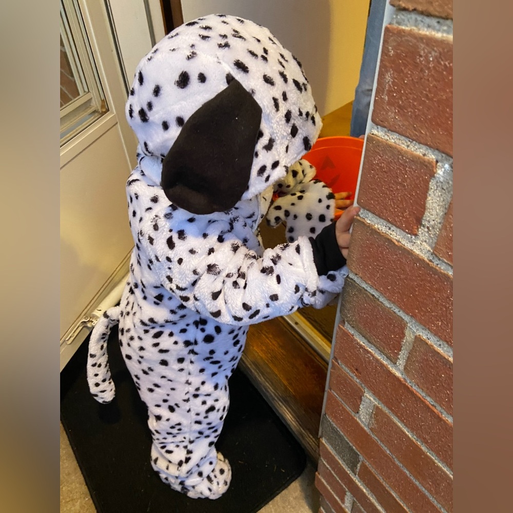 Dalmation costume 2T toddler kids dog